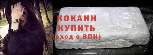 прущие грибы Кулебаки