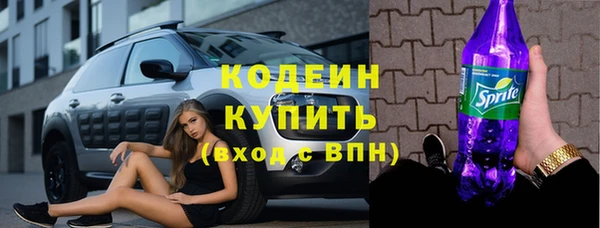 прущие грибы Кулебаки