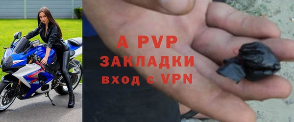 прущие грибы Кулебаки