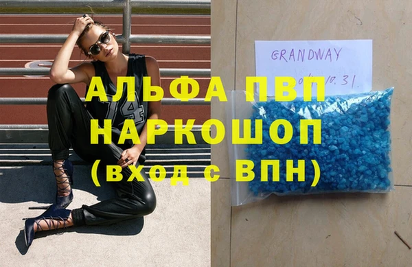 прущие грибы Кулебаки