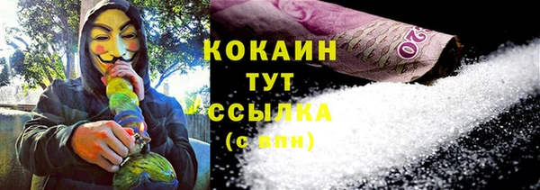 прущие грибы Кулебаки
