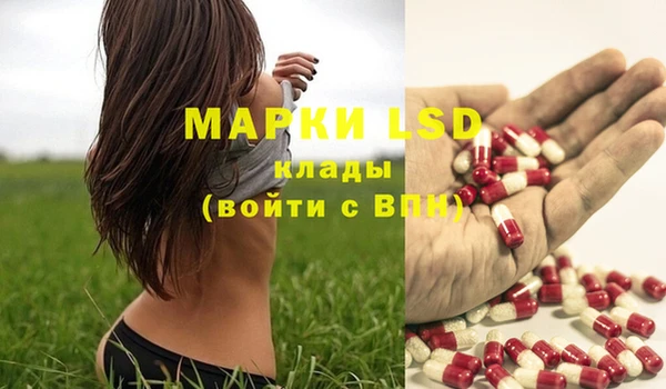 прущие грибы Кулебаки