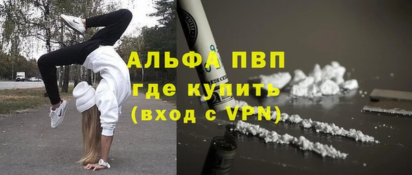 прущие грибы Кулебаки