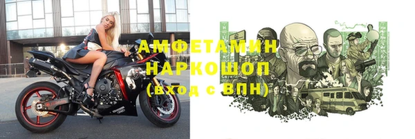 прущие грибы Кулебаки