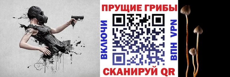 Псилоцибиновые грибы прущие грибы  Купить где  Красногорск 